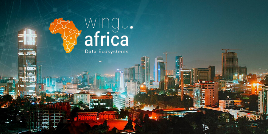 Wingu Africa